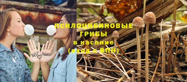 mdpv Бородино