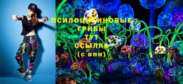 mdpv Бородино
