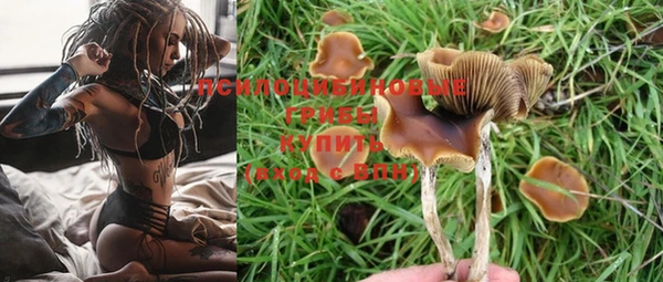 mdpv Бородино