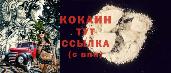 шишки Богородицк