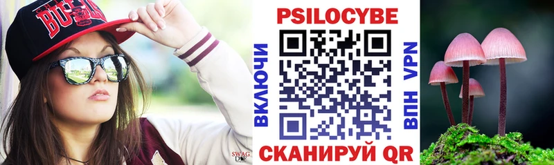 Купить закладки  Новая Ляля  Галлюциногенные грибы прущие грибы 